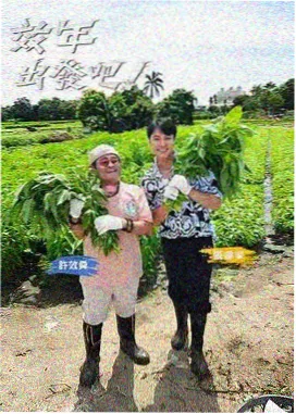 搬家那一年条目封面示意
